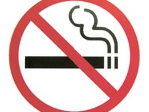No Smoking Allowed - Vinyl Sticker